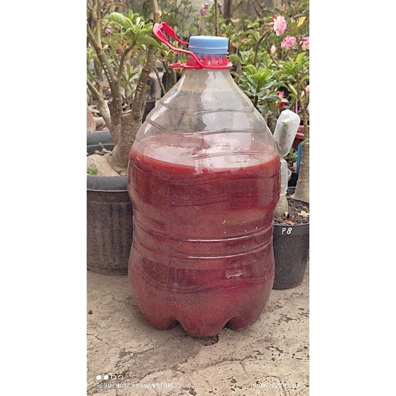 PSB ( photosynthetic bacteria / fotosintesis bakteri ) 1 liter