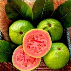 jambu merah 1kg