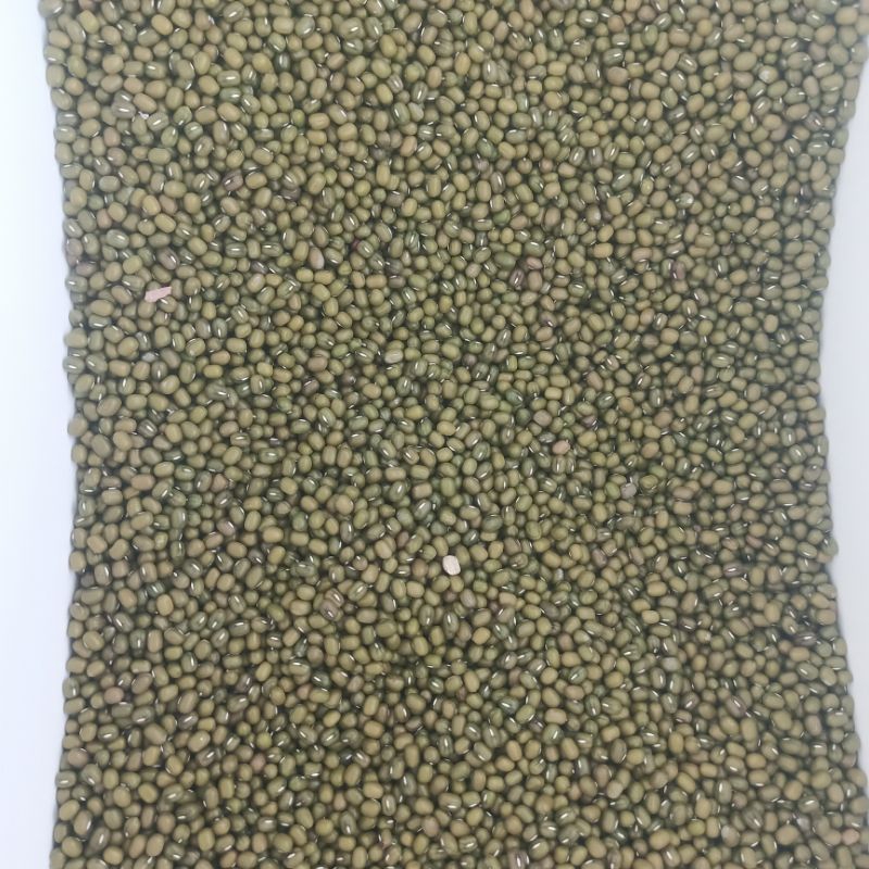 

Kacang Hijau Kiloan