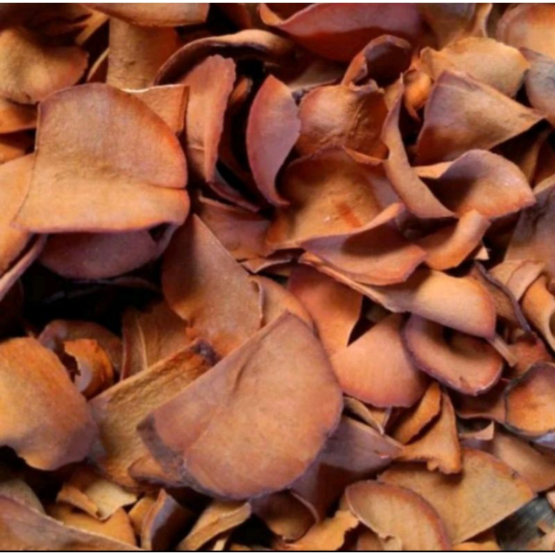 

jamu alami biji alpukat banyak manfaat tanpa pengawet 100% Herbal