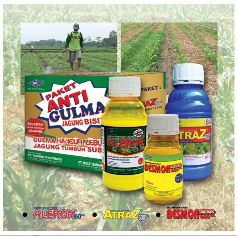 Paket Anti Gulma Jagung 250 ml ( PGA Jagung ) Herbisida Selektif Pembasmi Rumput Tanaman Jagung