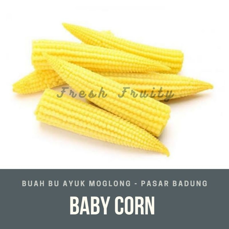 

baby corn atau jagung mini