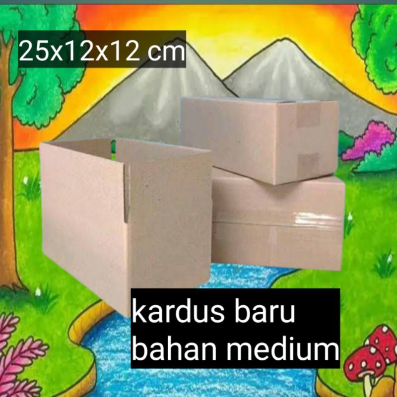 

kardus ukuran 25x12x12 cm 1 ply