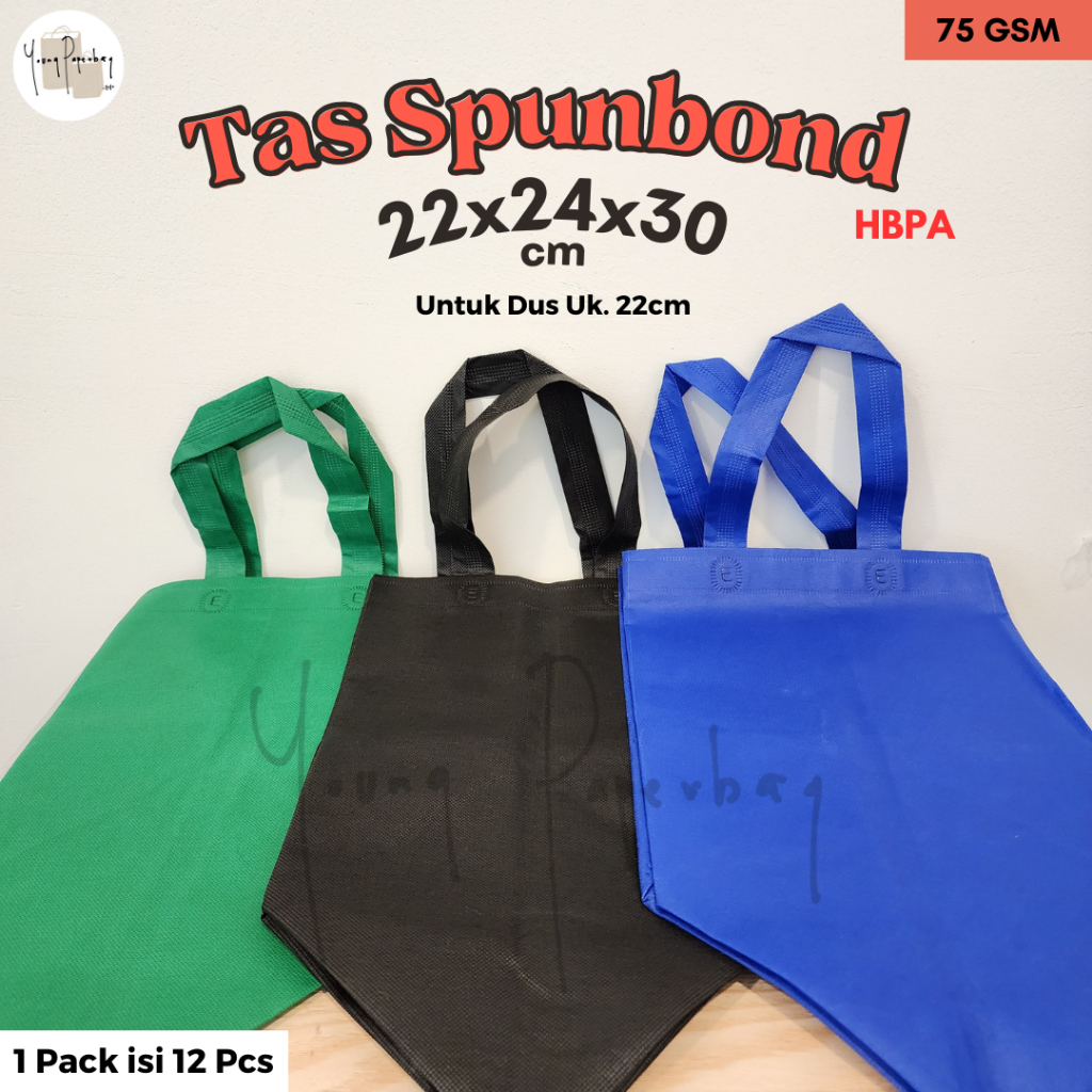 

Tas Kain Spunbond Goodie Bag HBPA Box 22 Uk. 22x24x30 (1 lsn)