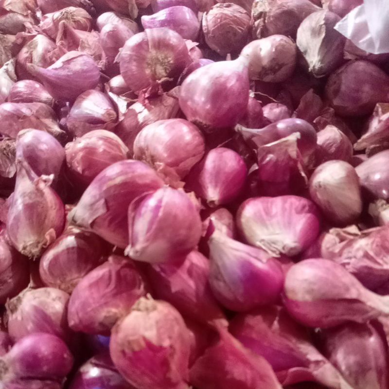 

bawang merah 1kg