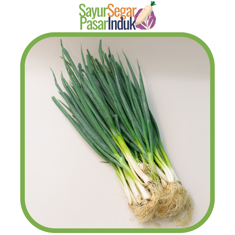 

Daun Bawang Kecil mulai 100 gr Sayur Segar Pasar Induk