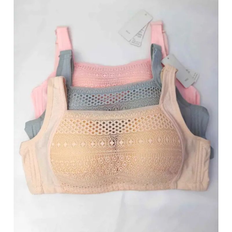 BH polini kemben | BH renda kemben | BH jumbo renda kekinian