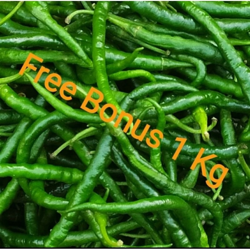 

Cabe keriting hijau uk ¼ kg + Gratis Bonus