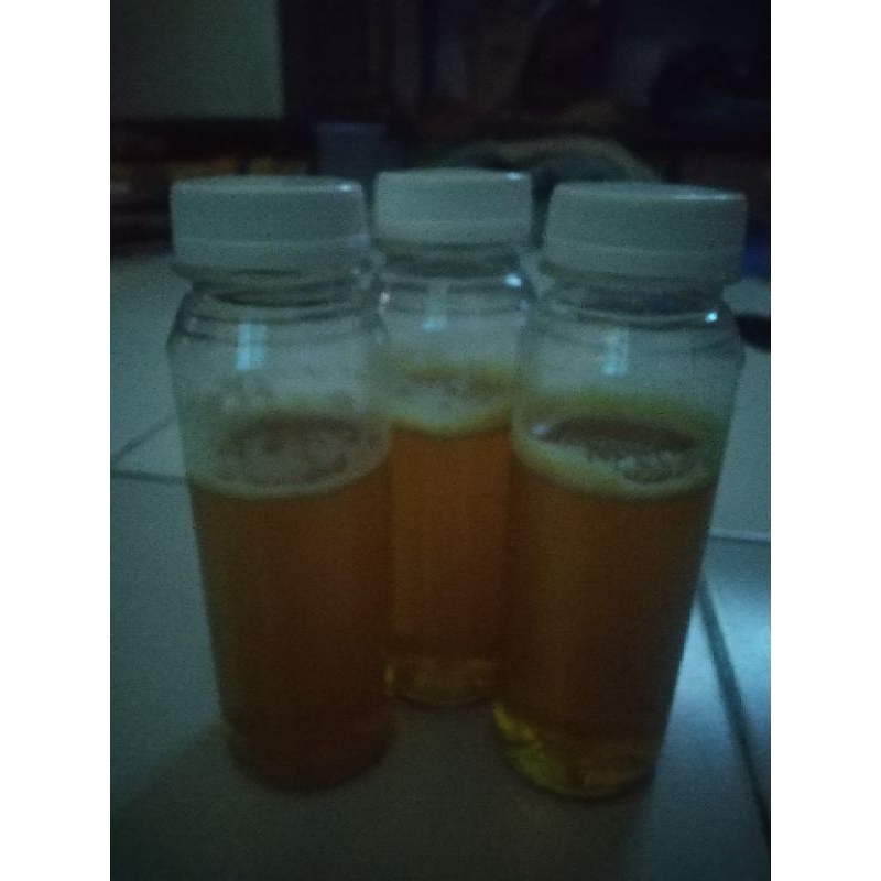 

Madu Hutan Aceh, madu asli, madu hutan, madu enak