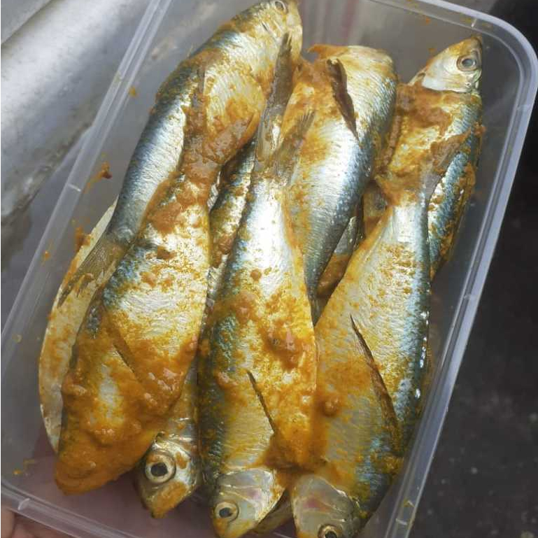 

Ikan Tembang Bumbu Kuning / Ikan Tembang Marinasi Frozen