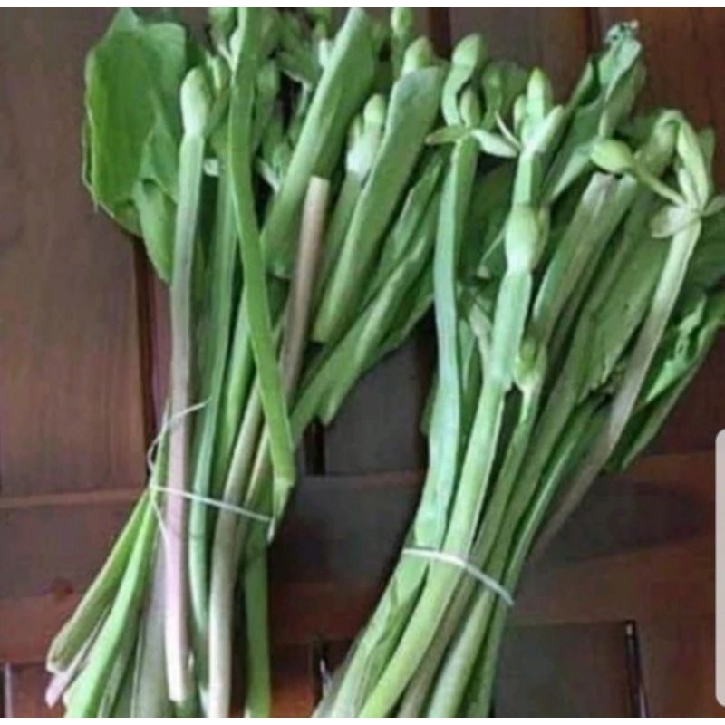 

SAYUR DAUN GENJER SEGAR