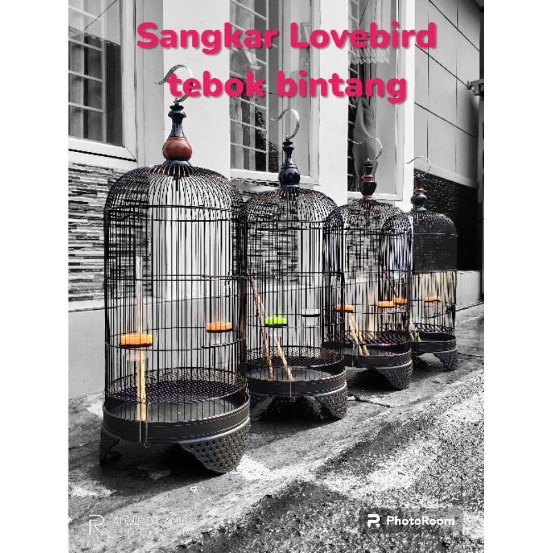 sangkar burung Lovebird tebok bintang / sangkar Lovebird murah