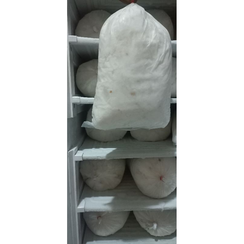 

daging kelapa muda frozen 1kg