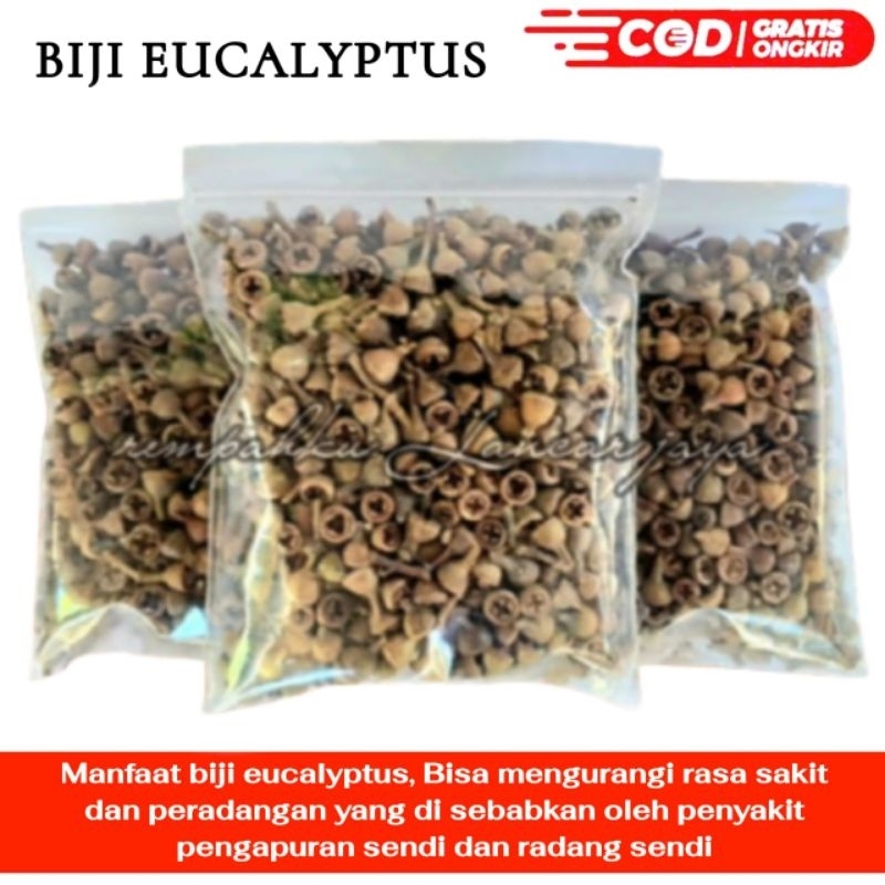 

EUCALYPTUS/ EKALIPTUS/ KALITUS/ CEPLIKAN 100 GRAM