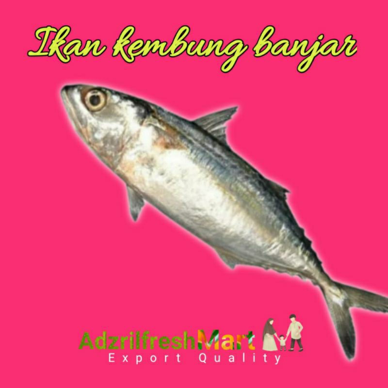 

IKAN KEMBUNG BANJAR 500GRAM