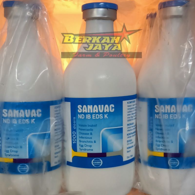 ND IB EDS K  vaksin ayam unggas sanavac