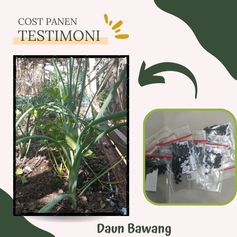 BENIH BAWANG PREI FRAGNANT