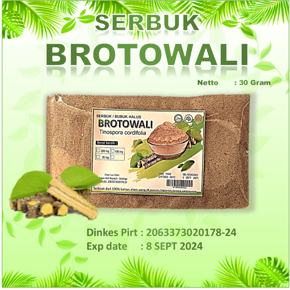 

Brotowali Untuk Sapih Serbuk Bratawali Bubuk Gatal