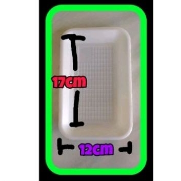 styrofoam buah 50pcs uk 17*12 foam buah