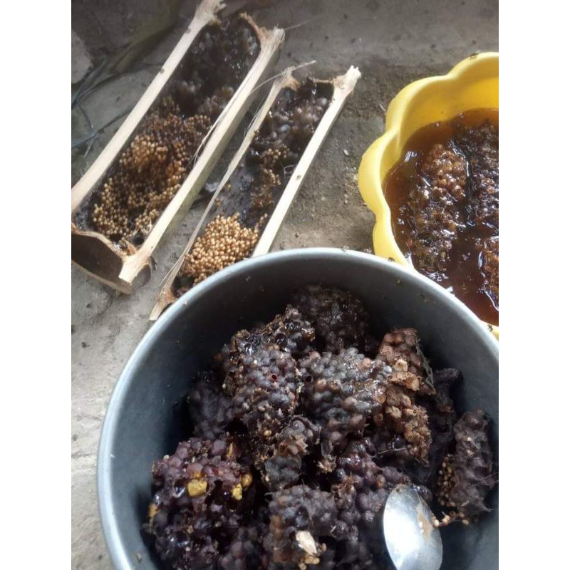 Maem_Yummy Madu Kelulut/ Trigona 500 Ml,Madu Klanceng Bambu Murni 100% Madu Asam Urat