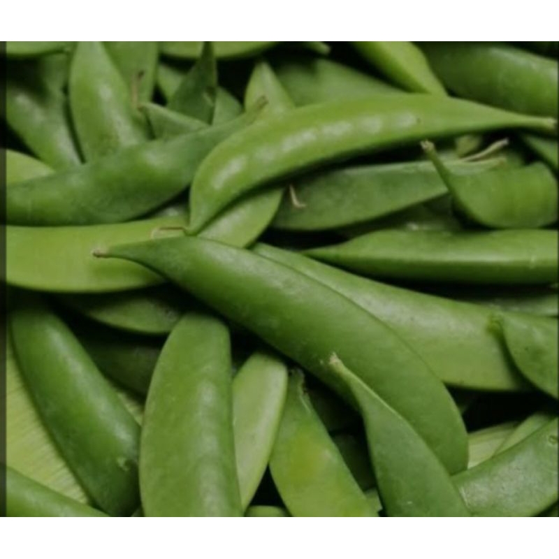 

kapri manis 1pck berat 150grm