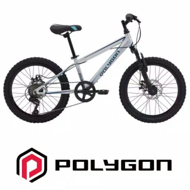 Sepeda Gunung / MTB Anak Ukuran 20 Inch Polygon Maze 20