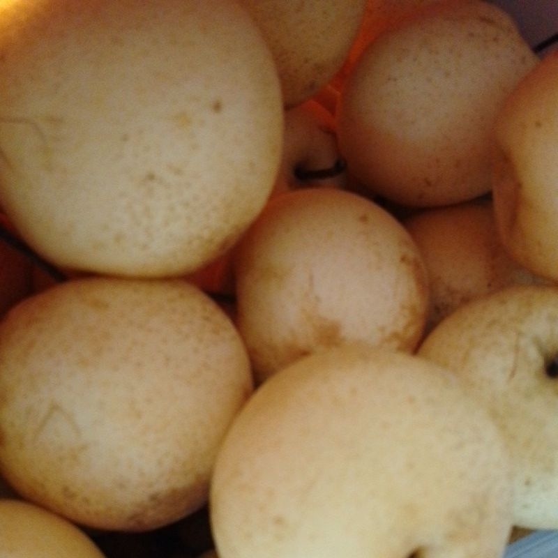 

Pear Century 500 gram