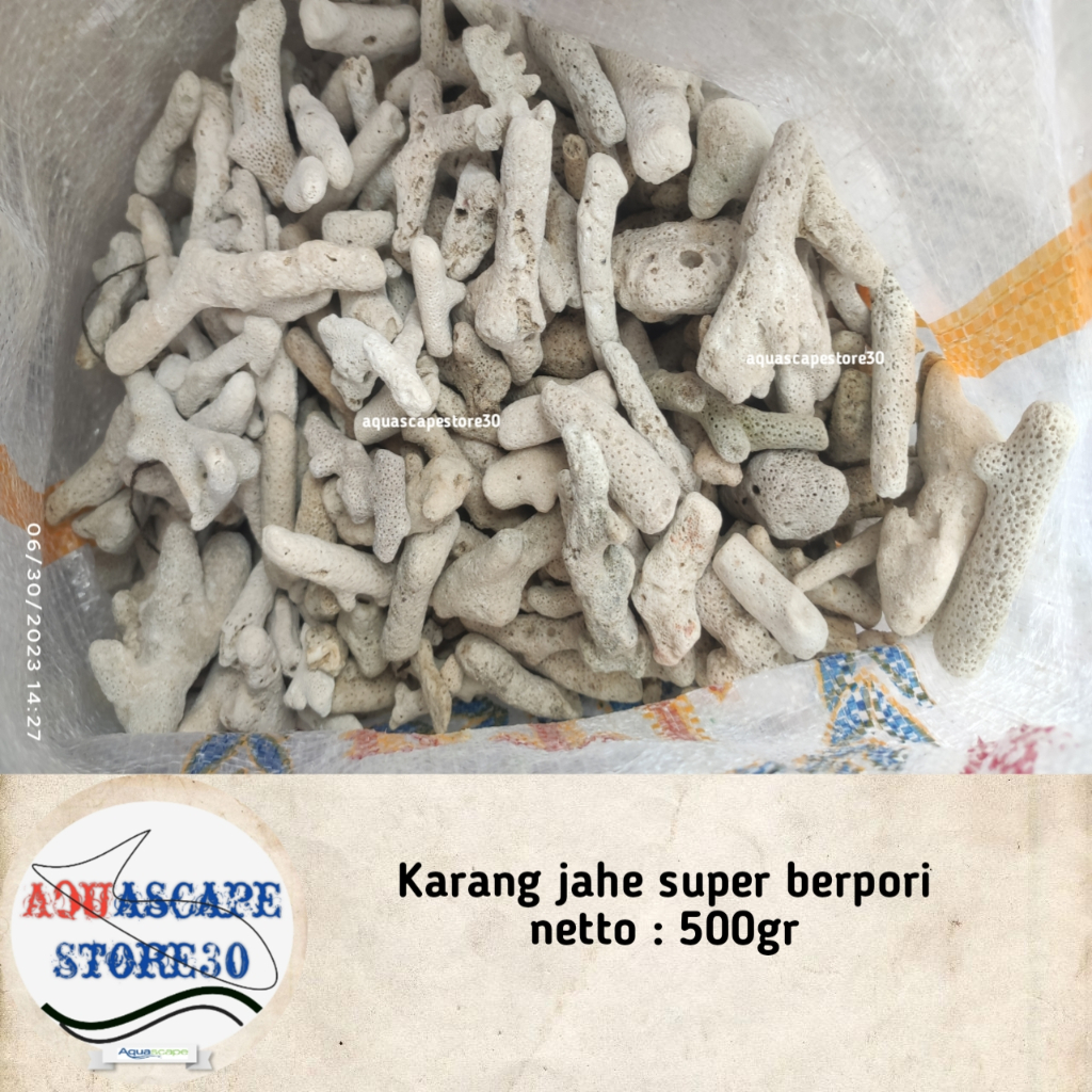 karang jahe super berpori media filter grade A 500gr / karang jahe media filter / karang jahe filter
