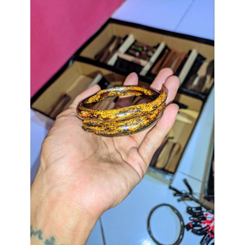 akar bahar brahma batik kuning asli papua ter viral