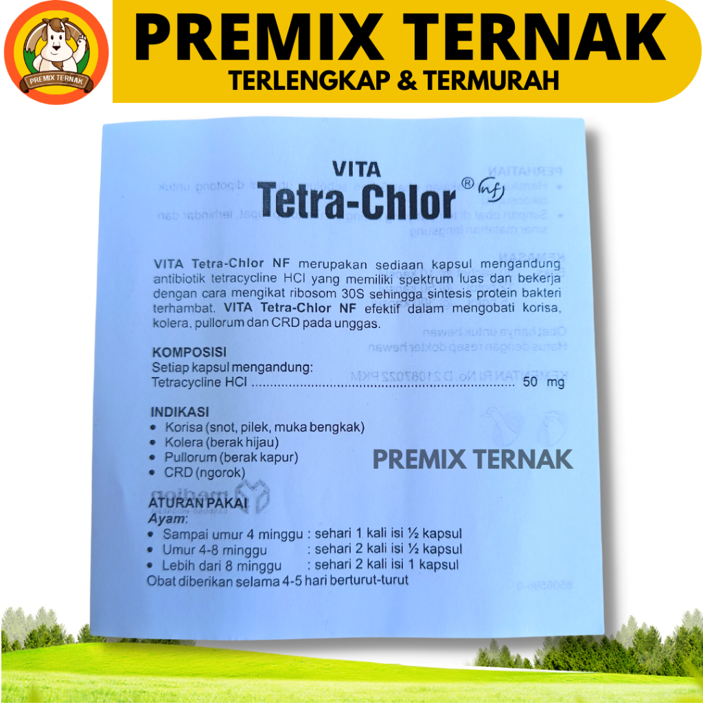 TETRA CHLOR 10 KAPSUL - Tetra Clor Tetra Chlor Ayam Medion Obat Pilek Batuk Snot Ngorok Crd Korisa Diare Mencret Hewan Ternak Unggas