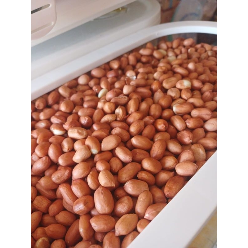 kacang tanah asli Tuban 250gr