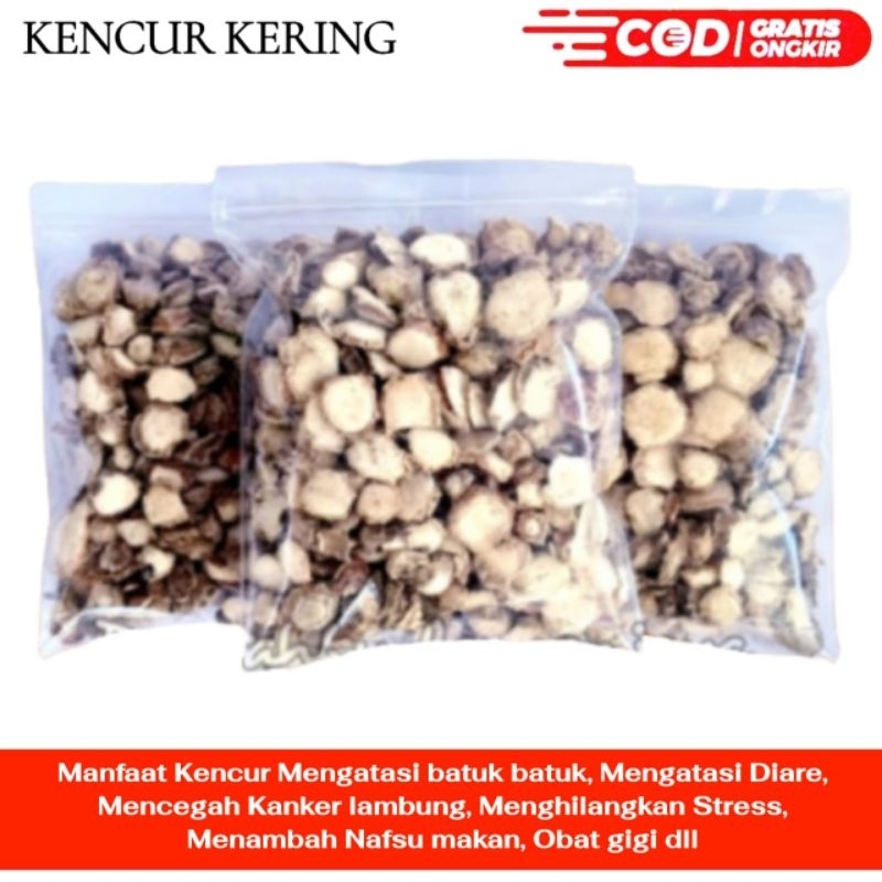 

KENCUR KERING 100 GRAM