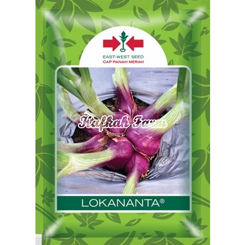 Benih 25 Biji Bawang Merah LOKANANTA
