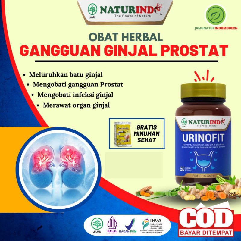 URINOFIT OBAT HERBAL GANGGUAN GINJAL PROSTAT
