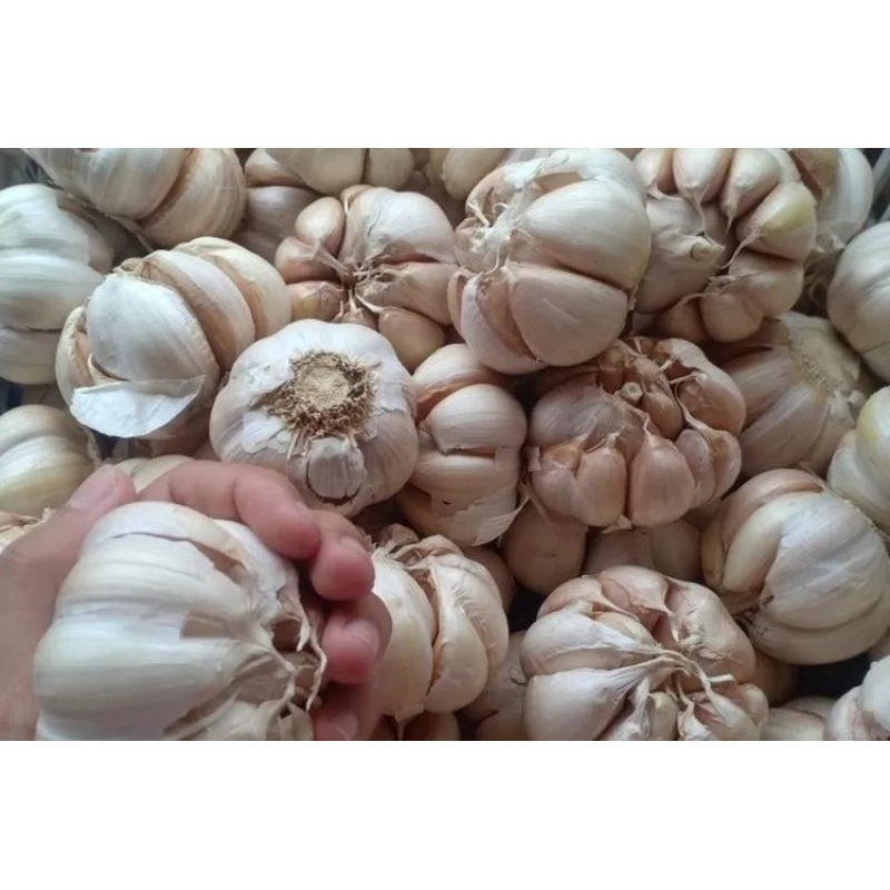

BAWANG PUTIH 1 KG