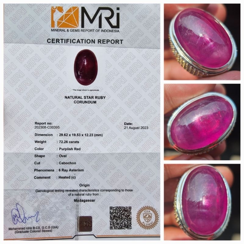 Natural Purplish Red Star Ruby Sertifikat 72.26 crt