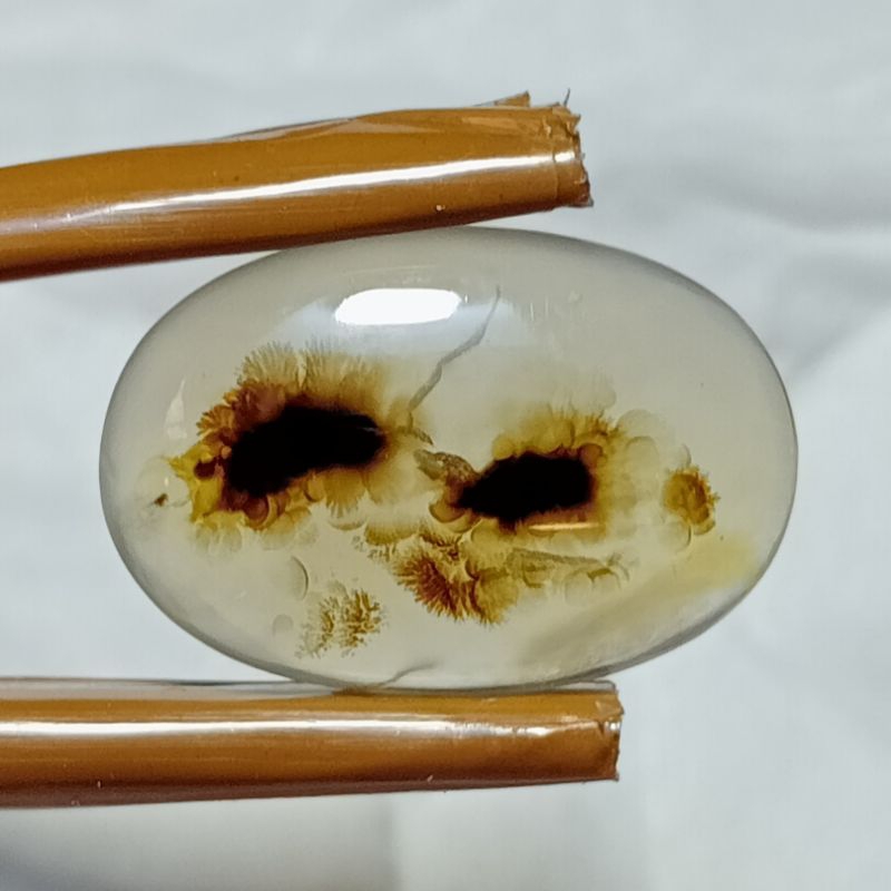 Batu Gambar Serangga - Dendrite Kristal. Bukan bacan doko bacan gulau