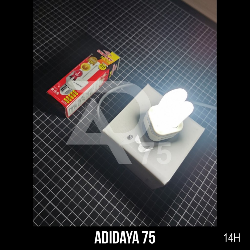 SHINYOKU SDE 5W  ǀ  Lampu SWA Ballast  ǀ  Compact Fluorescent Lamp  ǀ  14H