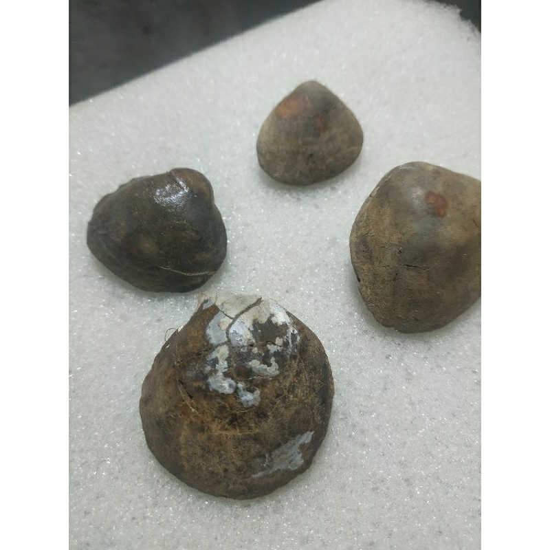 barang temuan saat bolang