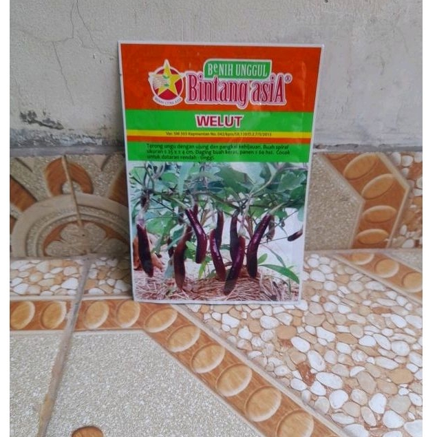 Benih Terong Ungu Welut 10 gram | Bibit Terong Ungu Bintang Asia