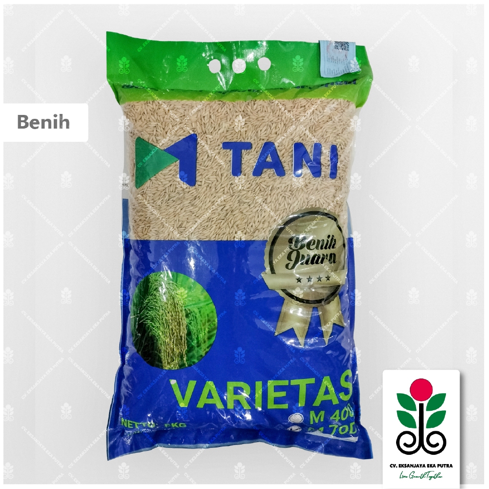 Bibit padi m70d m70 asli m tani 70 hari panen 5kg