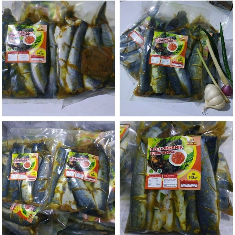 

ikan lele bumbu|ikan lele|ikan lele ungkep|ikan lele ungkep kuning|ikan lele|ikan lele bandung