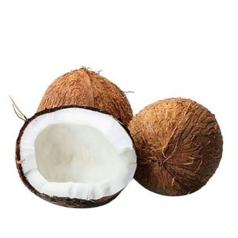 

kelapa tua batokan || per butir
