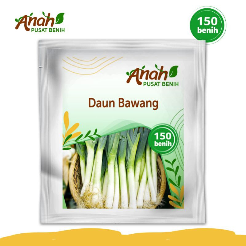 Benih daun bawang 150 Benih / bibit daun bawang