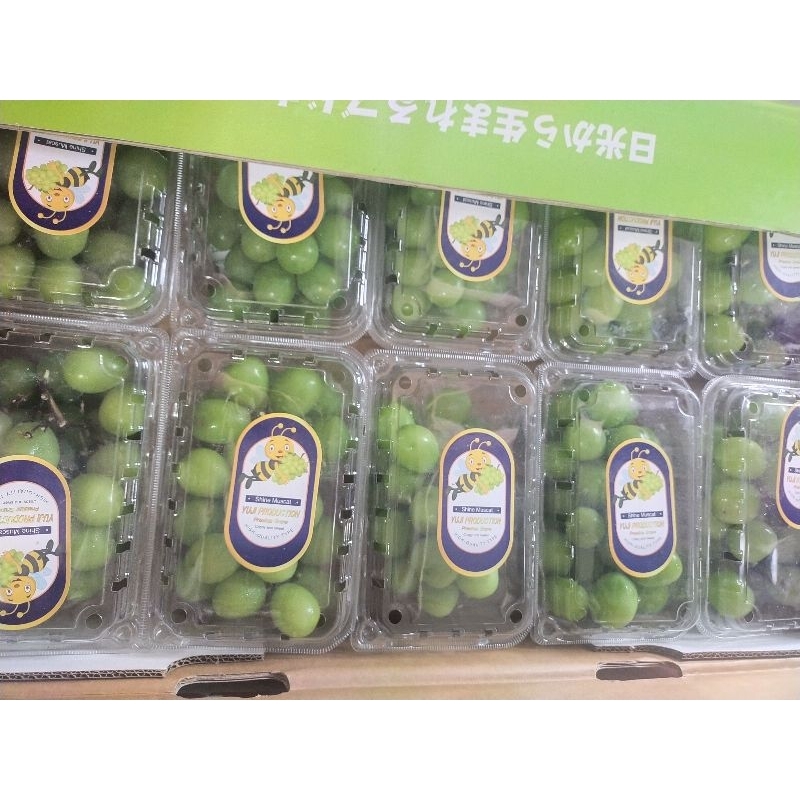 

Muscat Box kemasan 500gr