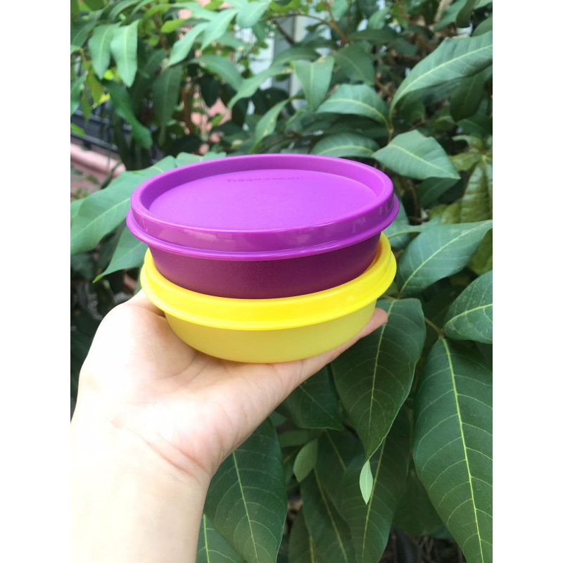 small handy bowl tupperware
