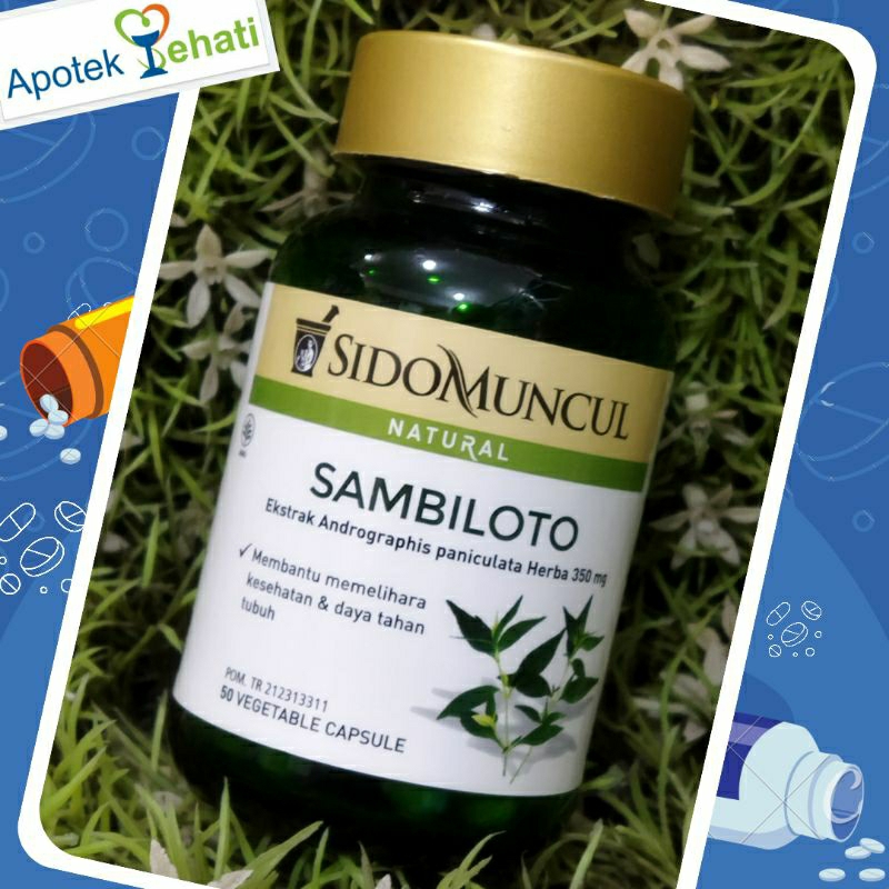 Sido Muncul Natural Sambiloto isi 50 Vegetable Capsule