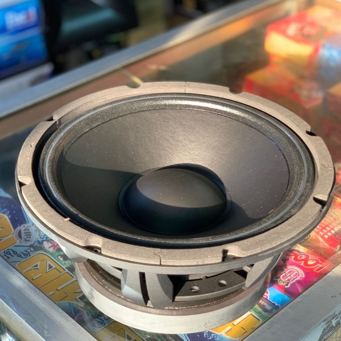 Speaker 10in Fabulous 75105 by ACR