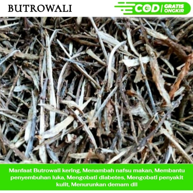 

Brotowali / Butrowali 1kg