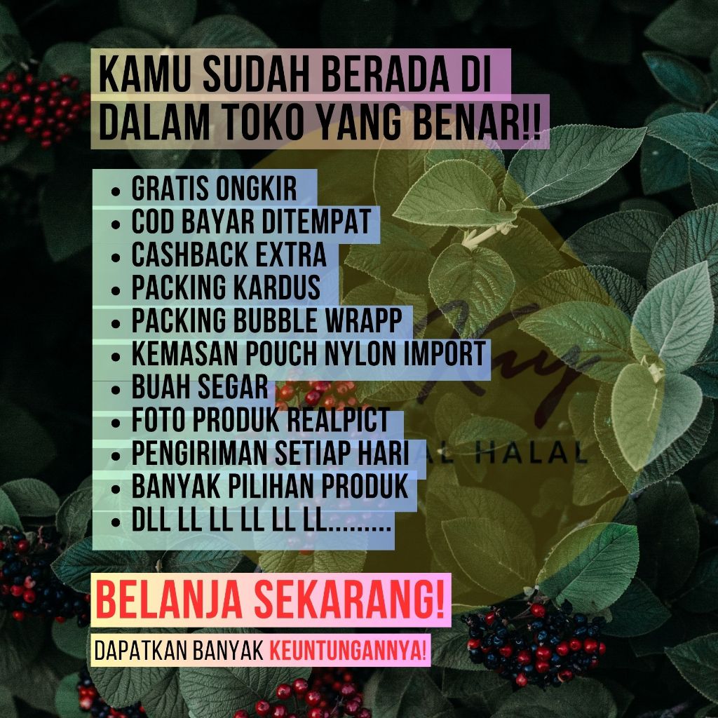 

PLUM LIKO 250 GRAM MANISAN BUAH PLUM MANISAN BUAH KERING MANISAN BUAH CIANJUR CAMILAN BUAH SEGAR